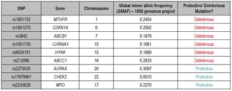 SNPs that have been shown to be genetic risk factors (either protective or deleterious) for lung cancer development were chosen that were 1) well-distributed throughout the human genome and 2) well-represented in the general population for the majority of the targets. 